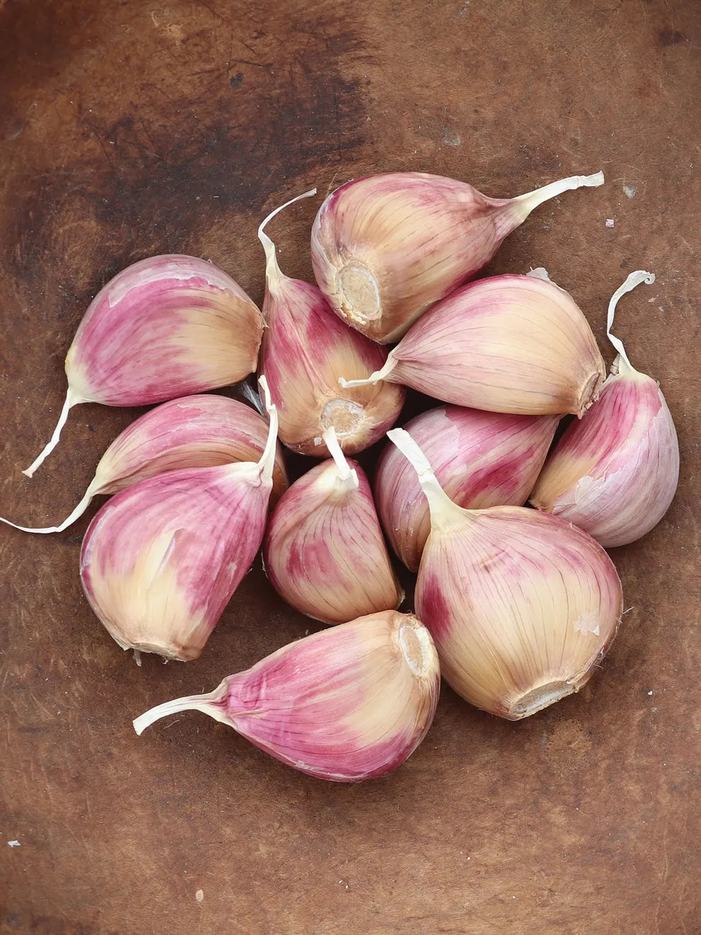 Music Garlic Bulbs