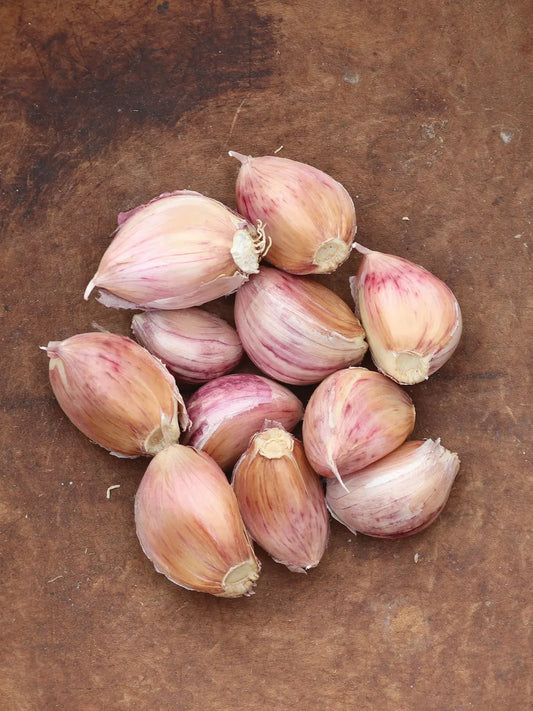 Georgia Fire Garlic Bulbs