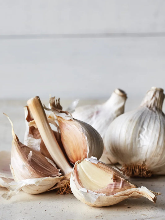 Music Garlic Bulbs