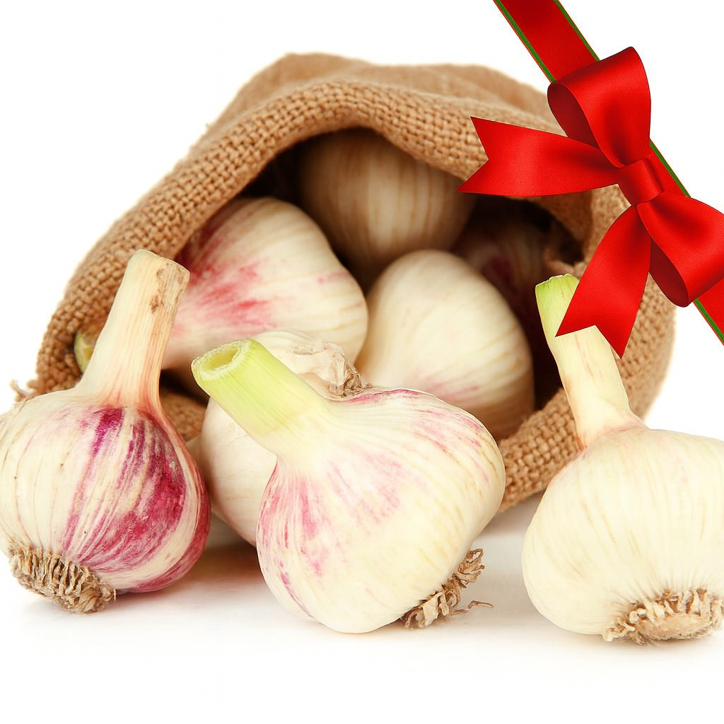 Garlic Gardner Gift Package - Holiday Version