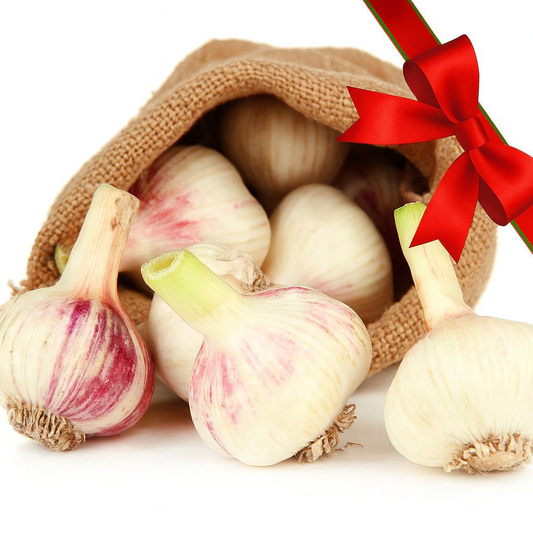 Garlic Gardner Gift Package - Holiday Version
