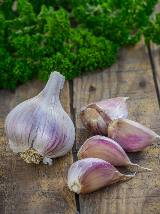 Georgia Fire Garlic Bulbs